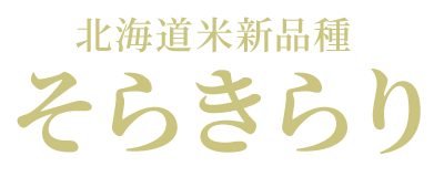 北海道米新品種そらきらり